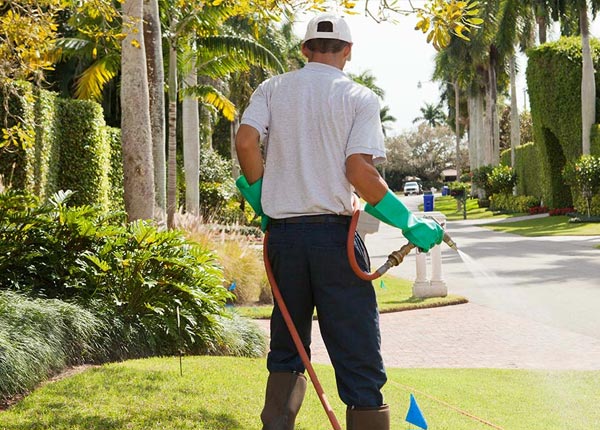 About Monticello MS Pest Control